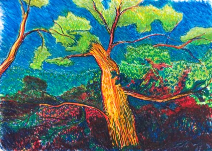 My backyard tree 18X24